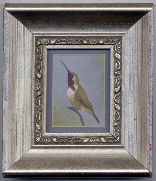luciferhummingbird.jpg