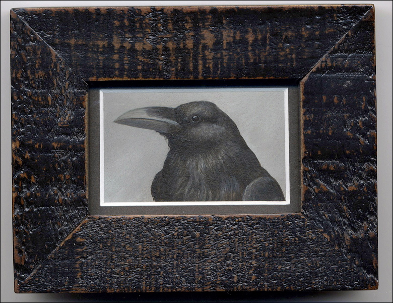ravenportraitjf.jpg